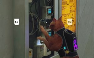 Just doing catty things<br /><span class='skye'>(webm video)</span>
