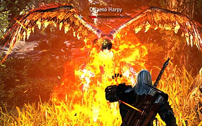 Burn harpy, burn!