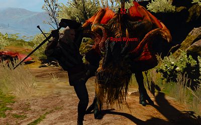 Twonking a wyvern