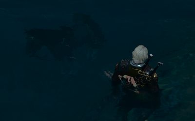 Roach goes for a swim