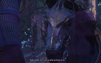 And now Geralt's talking to a horse