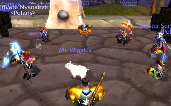 Polaris guild officer meeting