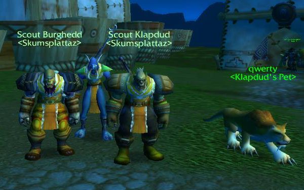 After the first Warsong Gulch battles