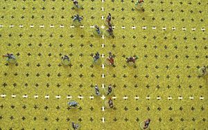 The high elves face off against their undead opponents