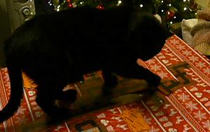 Kitty helps Bandido escape<br /><span class='skye'>(webm video)</span>