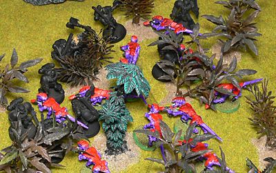 Nids pile into the forest to take on the Wolves