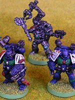 Storm Tigers Apothecaries & Techmarines