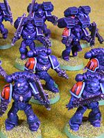 Storm Tigers Assault Marines