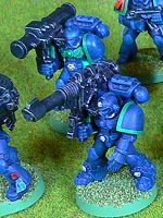 Storm Tigers Devastator Marines