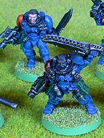 Storm Tigers Scouts