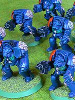 Storm Tigers Terminators