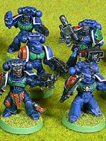 Storm Tigers Veterans