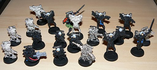 Assembled Battle Sisters